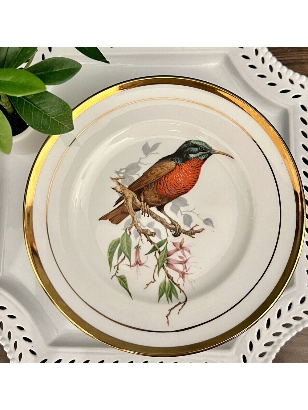 Vintage Pall Mall Ware English Bone China.  Exotic bird, 24k Gold Rim.